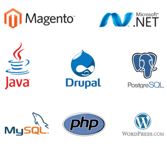 Web Application Development